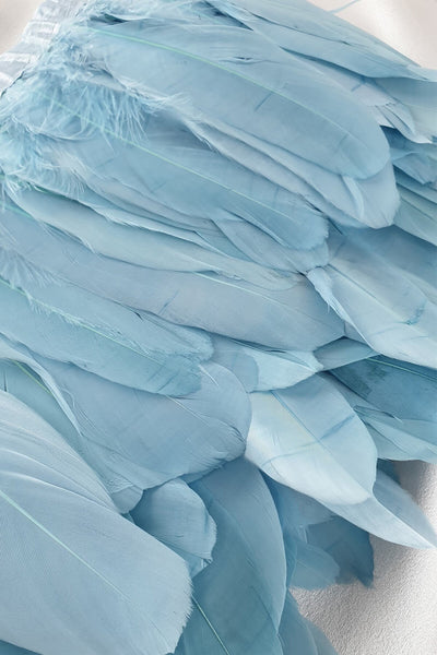 Baby Blue Eagle Feather