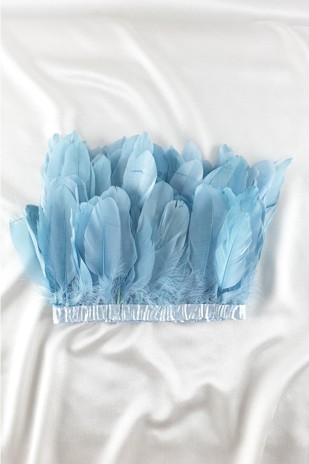 Baby Blue Eagle Feather