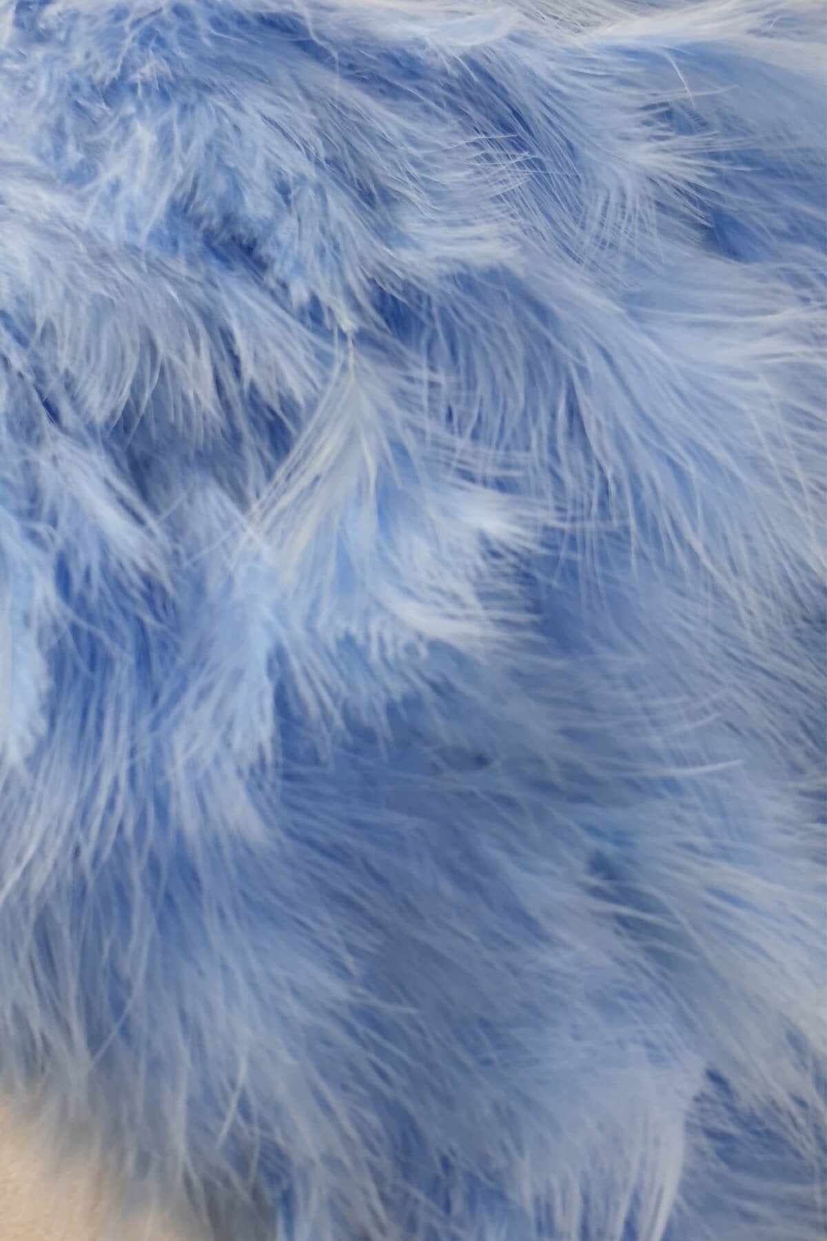 Baby Blue Maya Feather