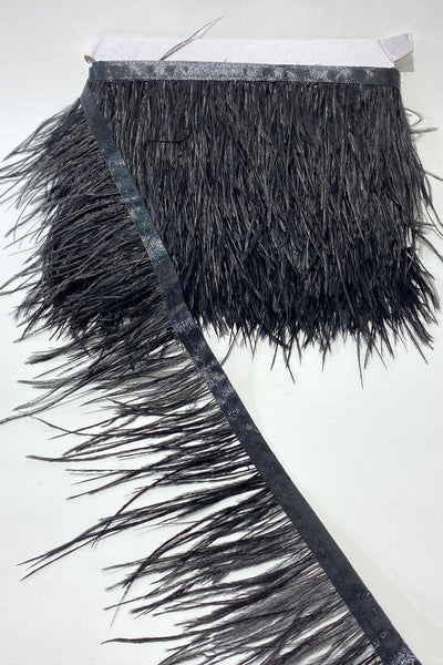Black Ostrich Feather 10 Mt