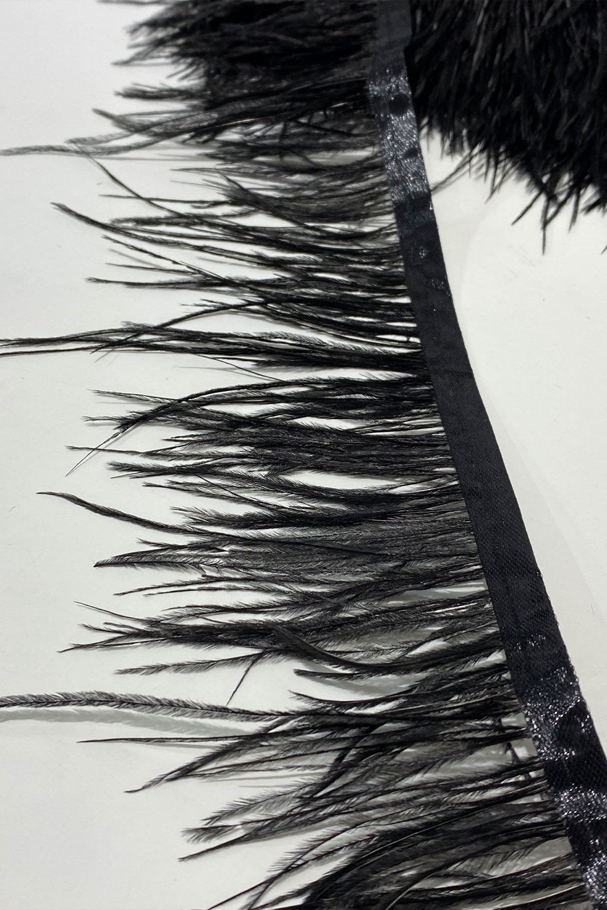 Black Ostrich Feather 10 Mt