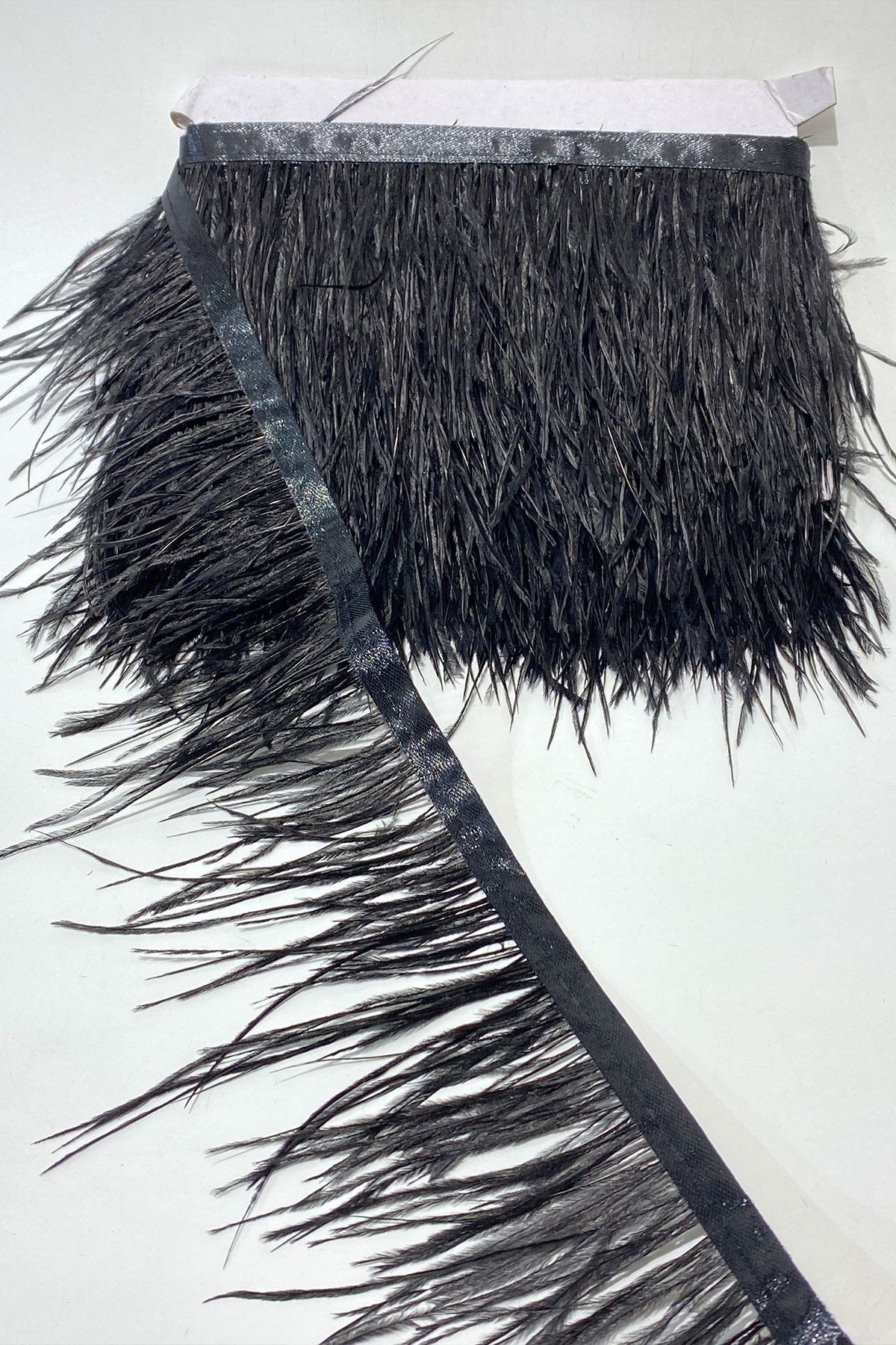 Black Ostrich Feather 5 Mt