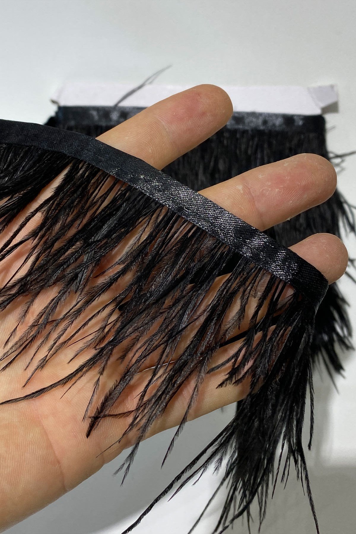 Black Ostrich Feather 5 Mt