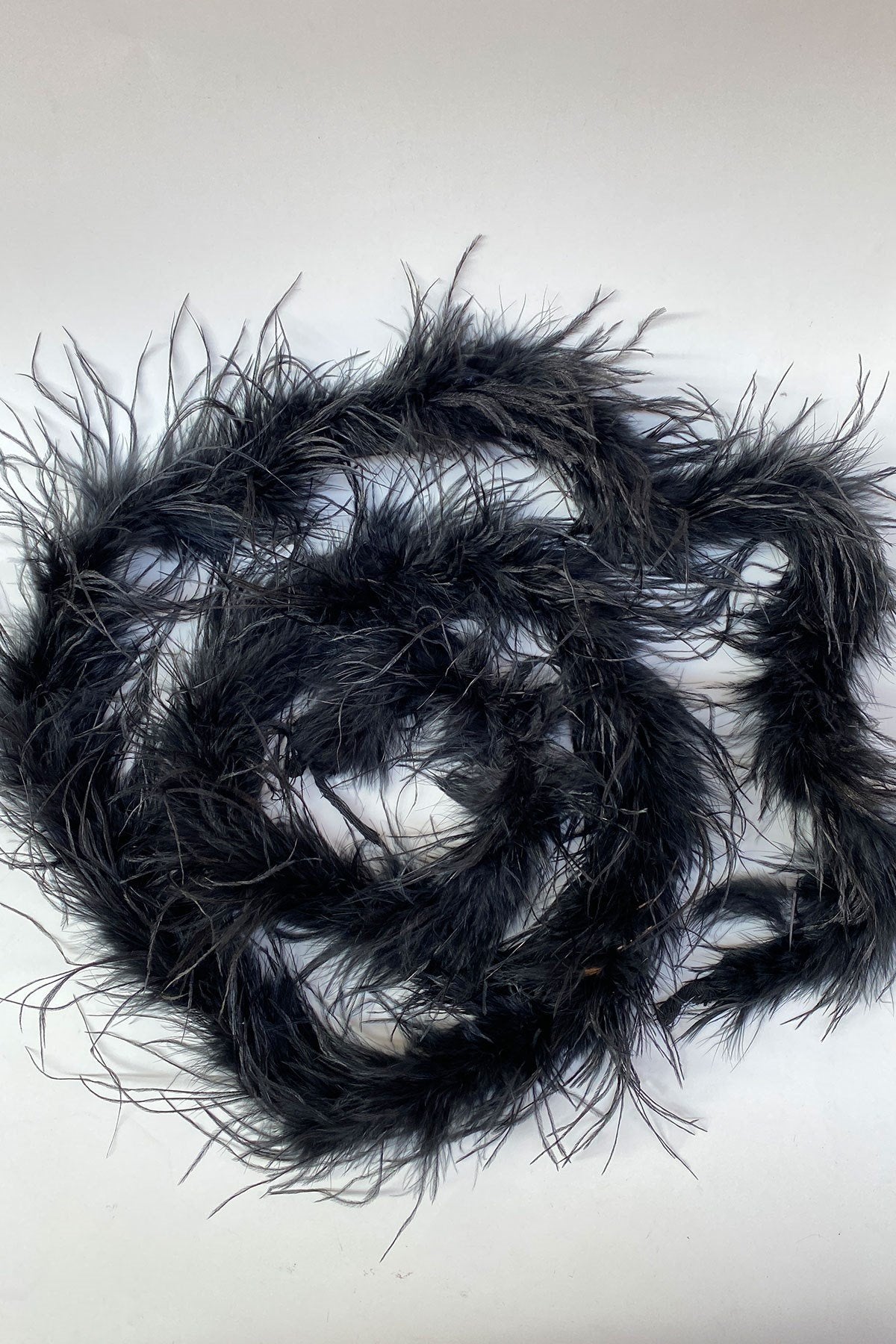 Black Malibu Ostrich Feather