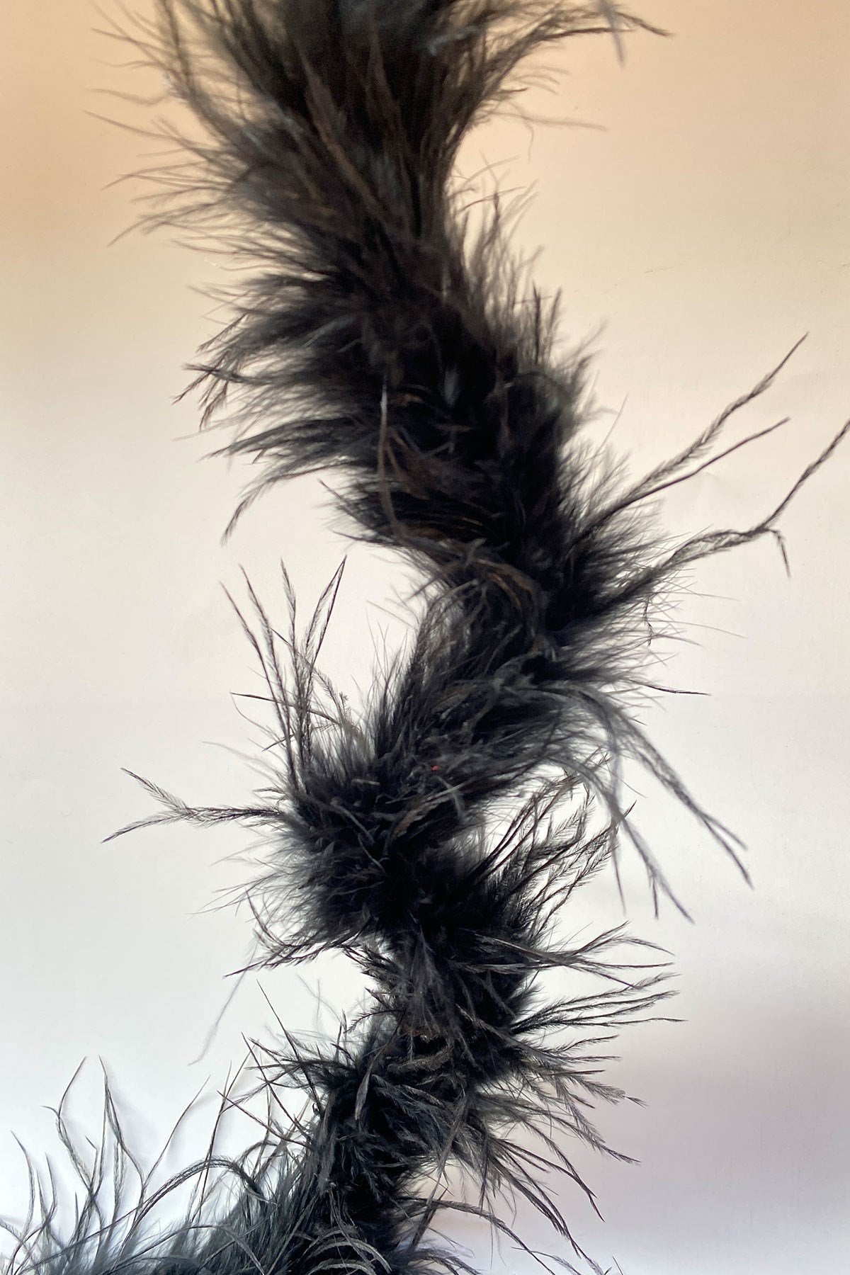 Black Malibu Ostrich Feather