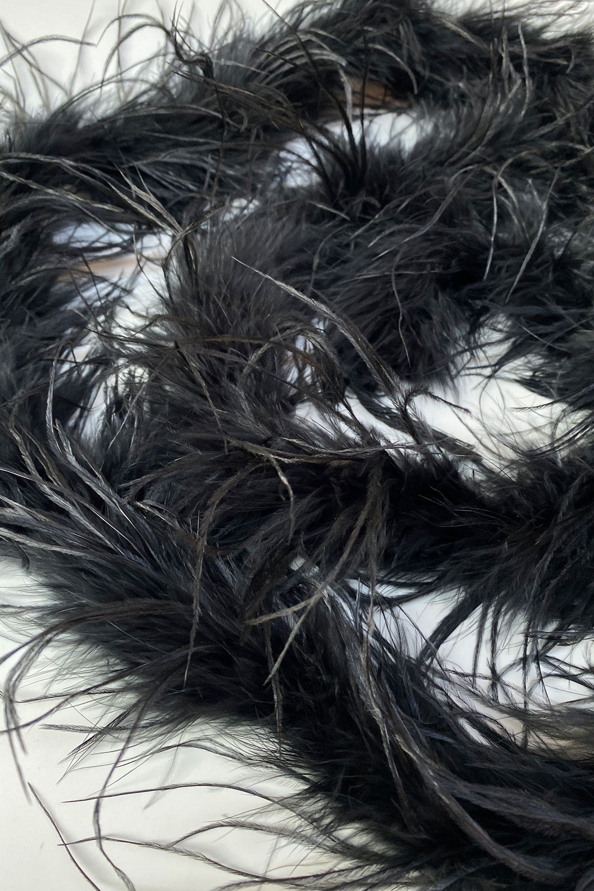 Black Malibu Ostrich Feather