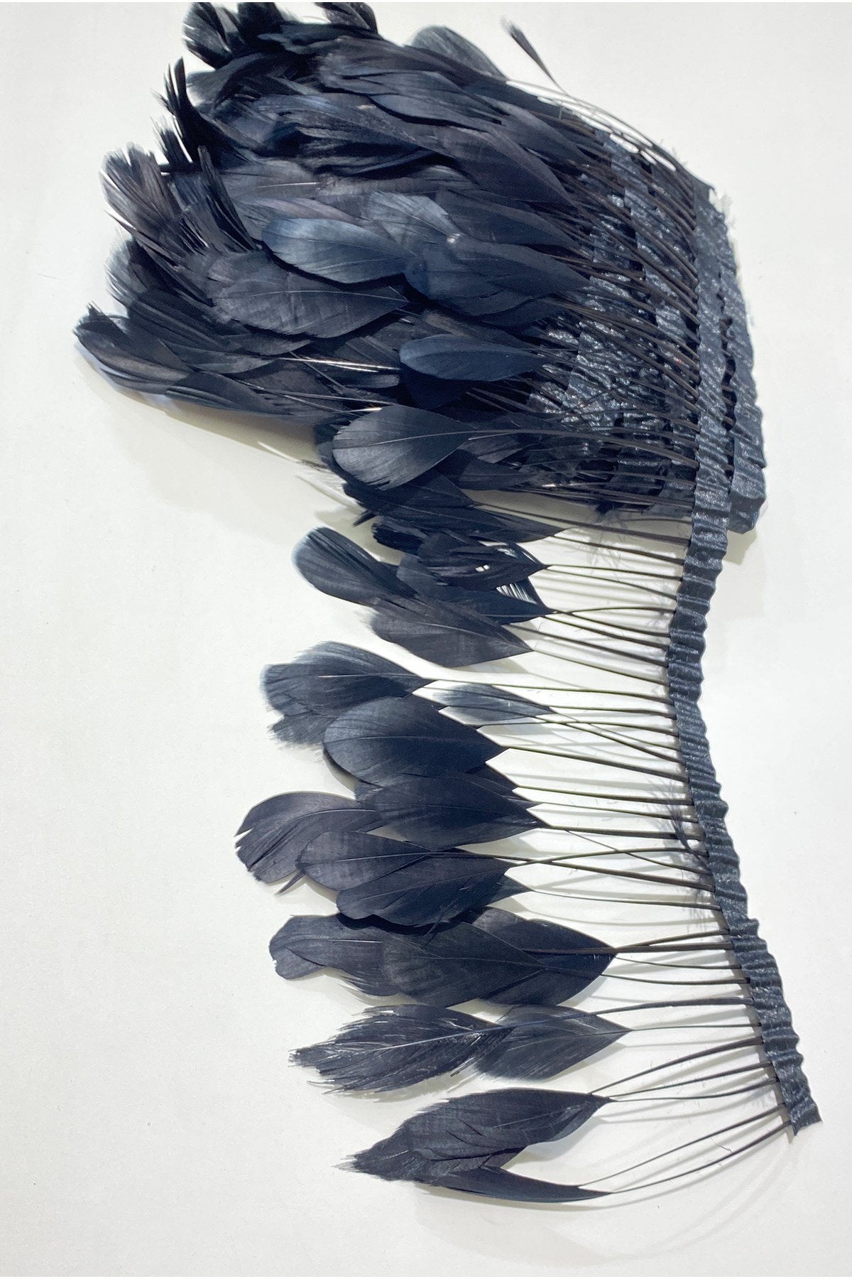 Black Malibu Ostrich Feather